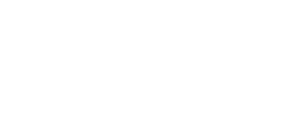 MOMentum logo